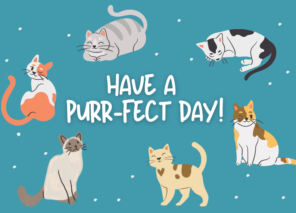 Have a PURRfect Day Card