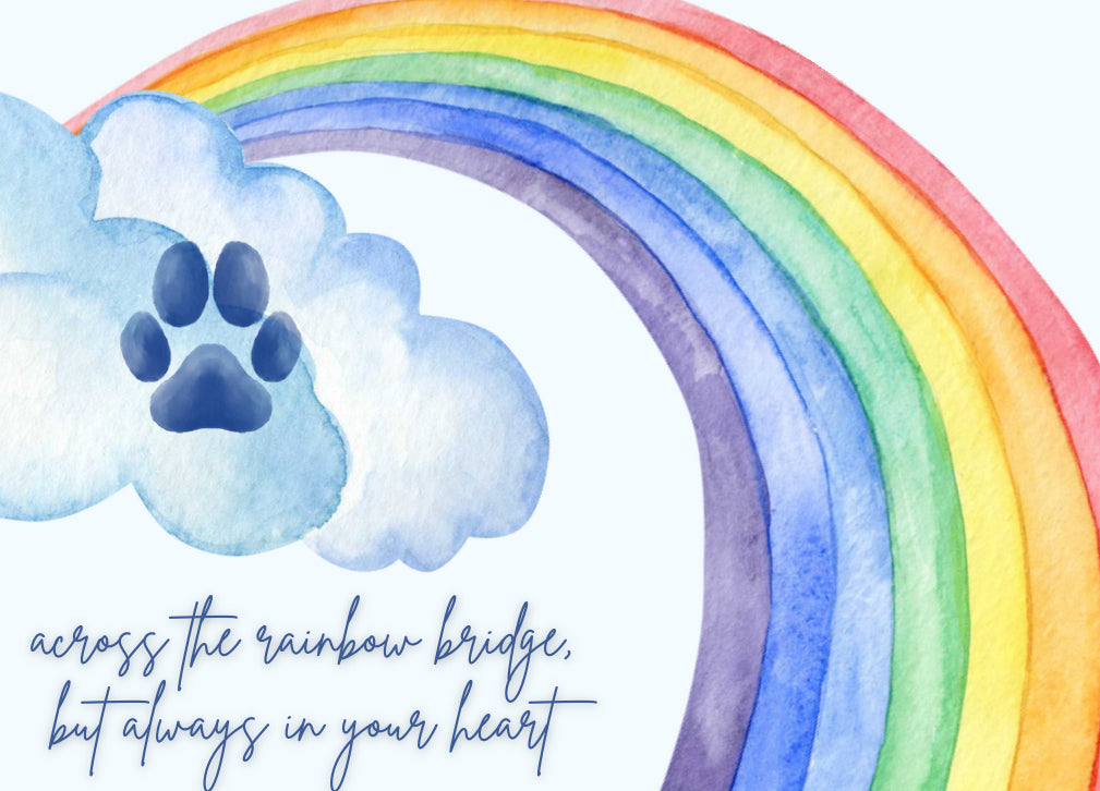 Rainbow Bridge Card